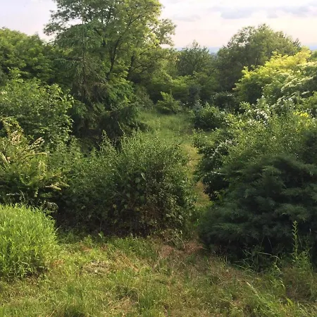 Appartamento Sunset House Piešťany červená Veža *